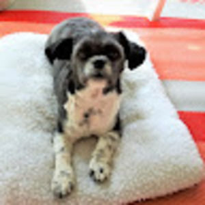 Meet your Posher, Pam